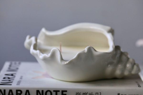 Seashell-shaped ceramic candle holder with wicks, placed on a book